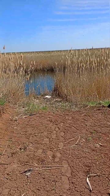 КОМУ НУЖНА РАБОТА ПИШИТЕ В КОММЕНТАРИЯХ‼️‼️ #астрах смотреть онлайн