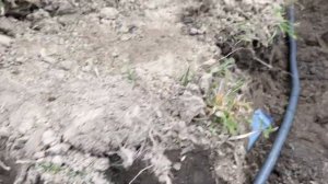 Делаю электропроводку для скважины в земле и гофре