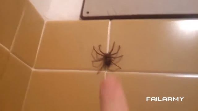 УХ ТЫ КАКАЯ - Американские приколы и неудачи - Большая подборка #8 смотреть онлайн