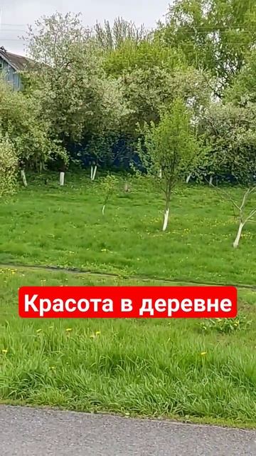 Красиво в деревне..... смотреть онлайн
