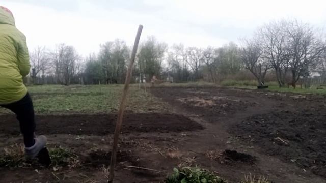 Жизнь в деревне/Работаем в огороде.Посадили клубнику.? смотреть онлайн