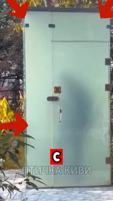 😱 ОБЩЕСТВЕННЫЙ ТУАЛЕТ ИЗ СТЕКЛА!?