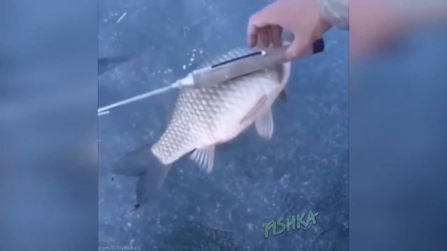Приколы на Рыбалке 2021 до слез / Неудачи на Рыбалке / Новые Приколы на Рыбалке [2021] /Рыбалка 202 смотреть онлайн