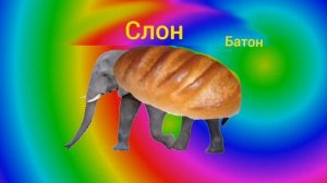 Слон батон ( пародия на мышка сосиска)