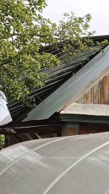 #shorts Сорвало крышу! смотреть онлайн