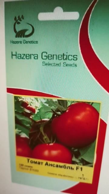 Самый лучший томат в мире 2025 г.! Высокоурожайный, вкусн смотреть онлайн