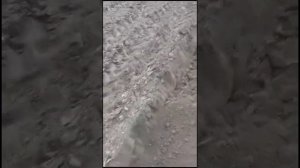 Как должны стоять тяги чтобы плуг сам заходит в землю