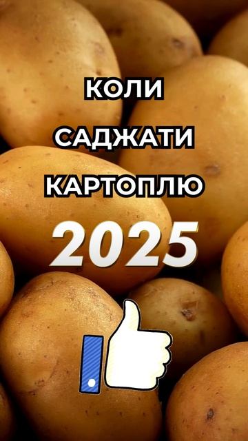 КРАЩІ ДНІ для посадки картоплі 2025 за місячним календа?