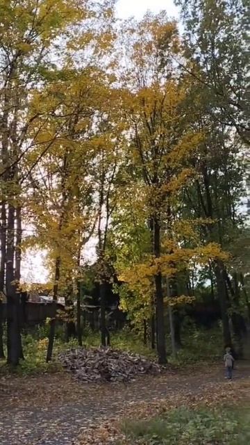 Осень в Щелоковском парке. Нижний Новгород #осень #окт? смотреть онлайн