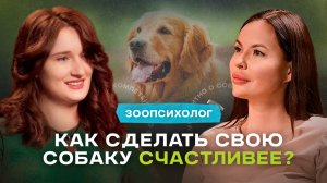 Как сделать свою собаку счастливее? — Зоопсихолог о психике собак и проблемах владельцев