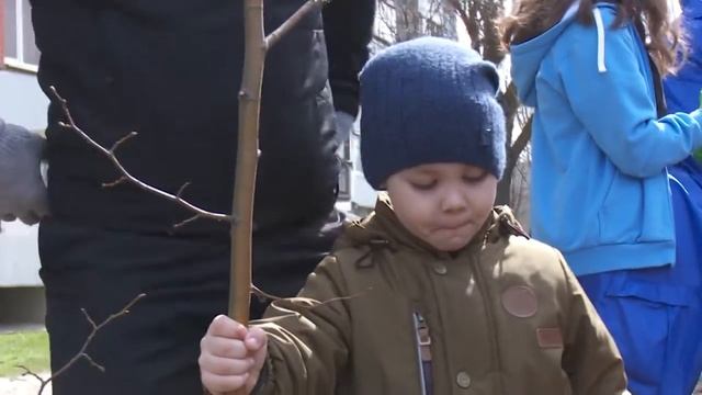 В г. Орехово-Зуево высадили липовую аллею смотреть онлайн