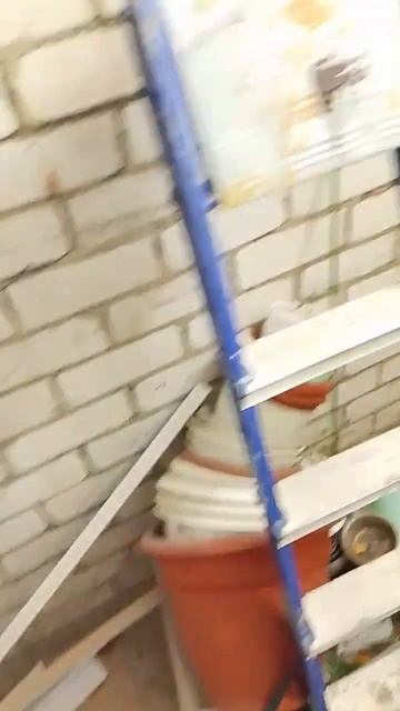 Кот мышелов или какая мышеловка лучше