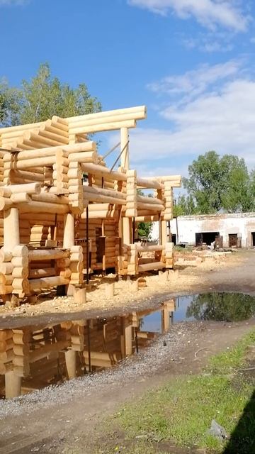 Сруб из сосны смотреть онлайн