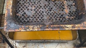 Подкормка пчел медом, а вы разводите мед 1:3?