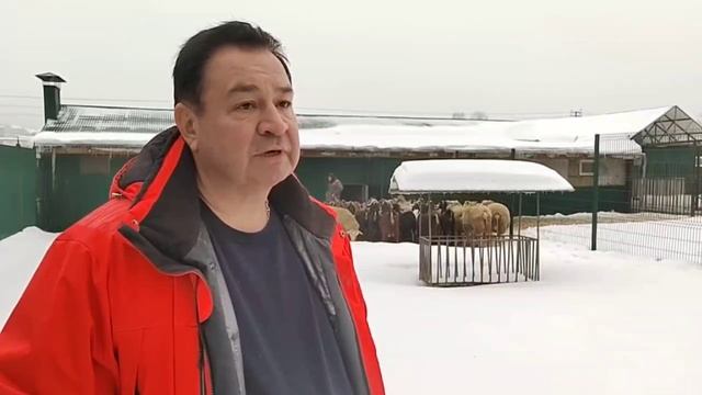 Интервью смотреть онлайн