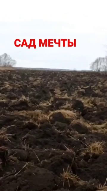 #САД МЕЧТЫ. ПОДГОТОВКА УЧАСТКА. смотреть онлайн