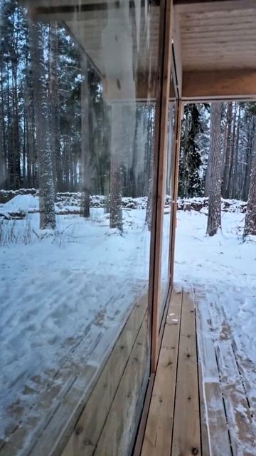 Фахверк с плоской крышей в лесу смотреть онлайн