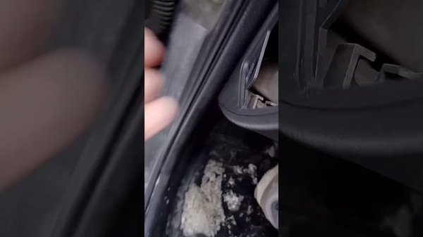 Рено Логан не работает прикуриватель и магнитола, мен?