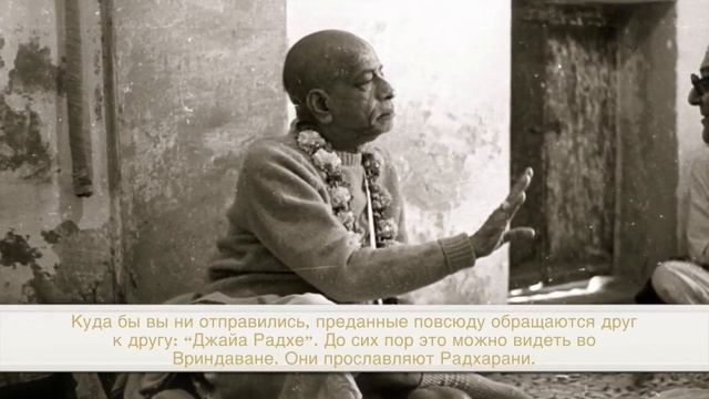 Во Вриндаване все прославляют Радхарани: «Джай Радхе»! Шрила Прабхупада #ХареКришна #ИСККОН