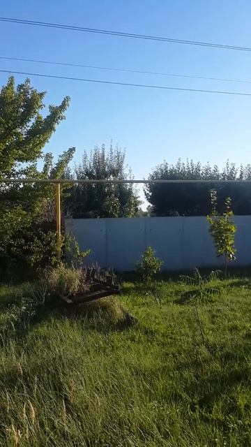 Собака и забор смотреть онлайн