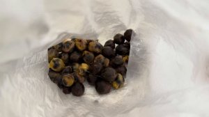 Вся правда о выращивании Магнолии из семян