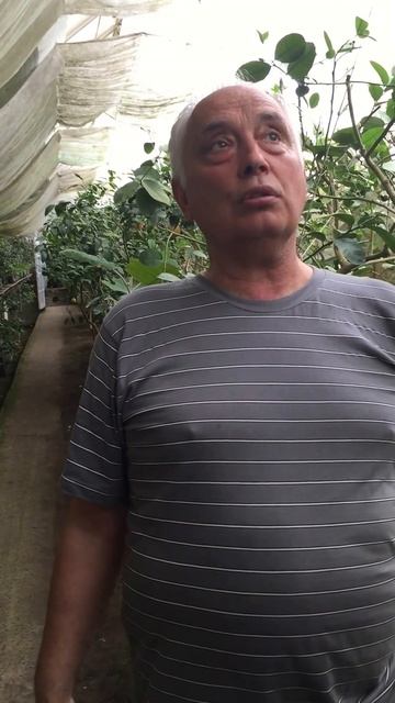 Отзыв от Патия А.В., известного украинского изобретате смотреть онлайн