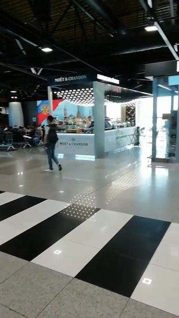 Аэропорт Шереметьево сейчас смотреть онлайн