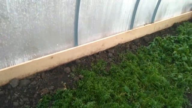 Большой сарай и другие новости