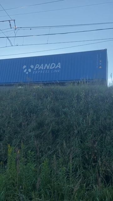 Дорога на дачу #поезда #дача #сад #дорога #дороги #огоро? смотреть онлайн