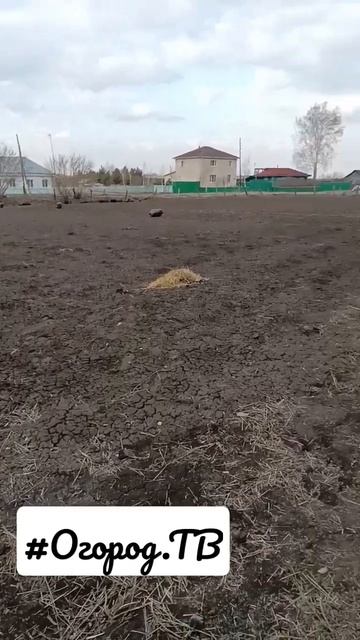 #Огород.ТВ Завершение Трудового Дня.. смотреть онлайн