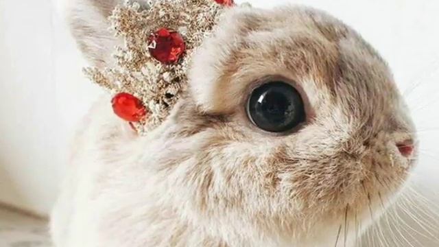 Любимые картинки смотреть онлайн