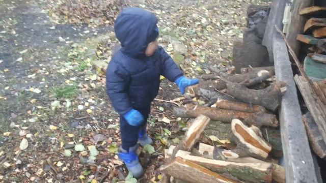 Осень, идет мелкий снежок