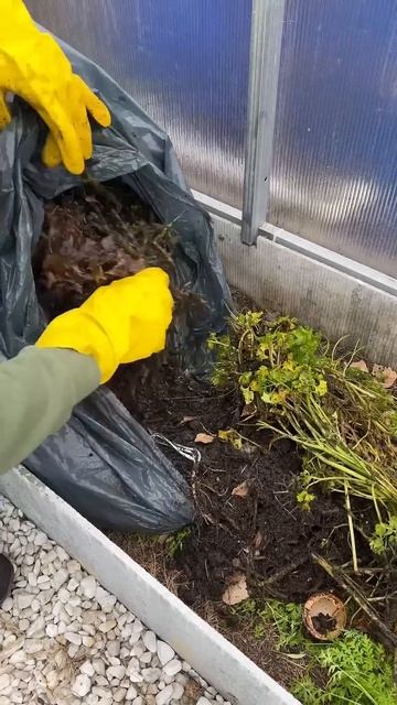 Укладываю на грядку с осени лучшее удобрение смотреть онлайн