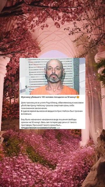 Мужчину, убившего 185 человек, посадили на 50 минут смотреть онлайн