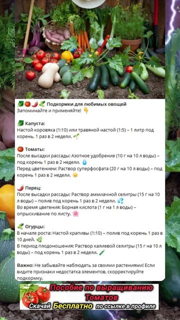 Идеальные подкормки!✅ #сад #сделайсам #дача #огород #да смотреть онлайн