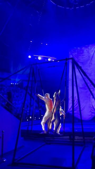 Прыжки с качели😱🔥 #circus #extreme #трюки #топ #amazing #crazy #acrobati смотреть онлайн