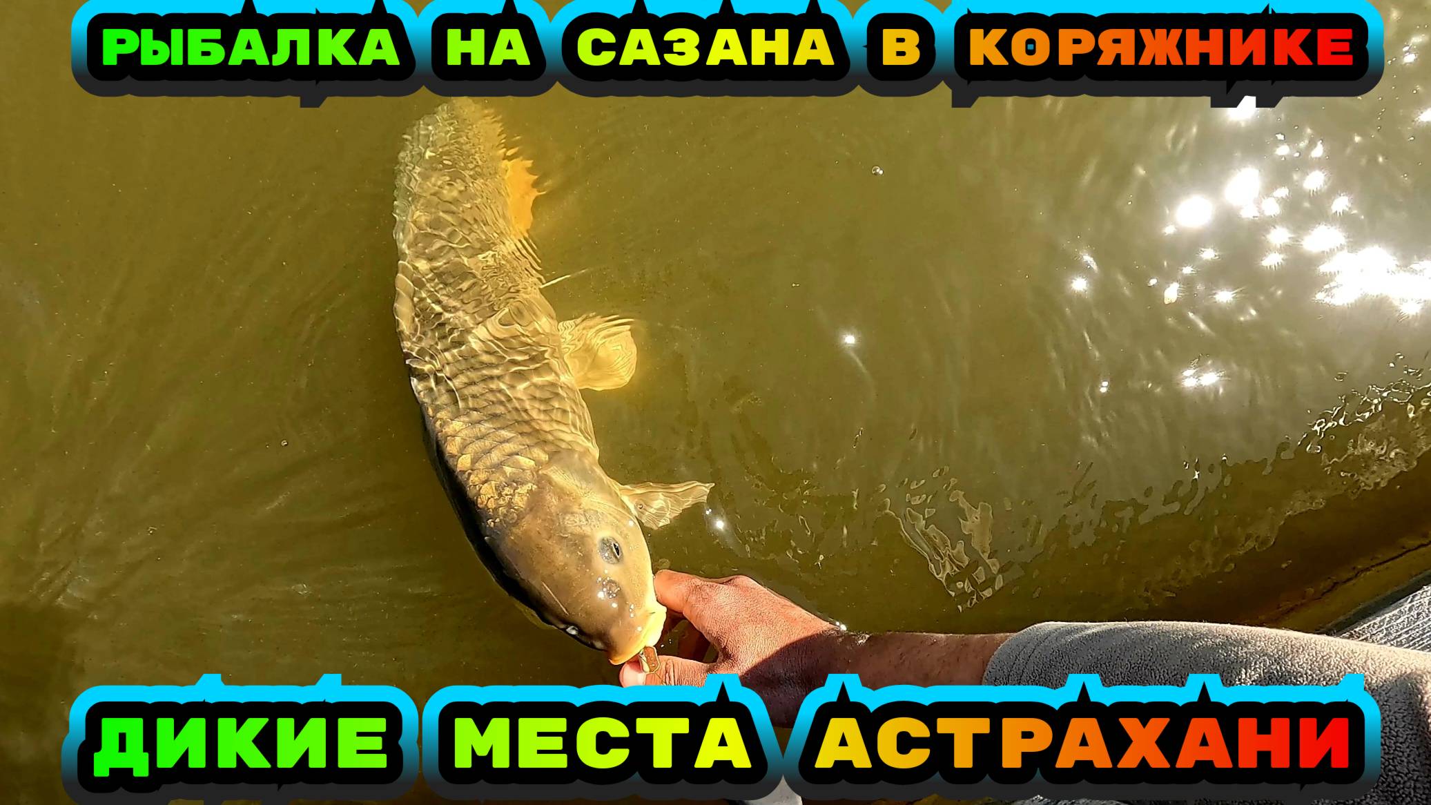Ловим САЗАНА на дедовскую снасть. Рыбалка в Астрахани 2025 смотреть онлайн