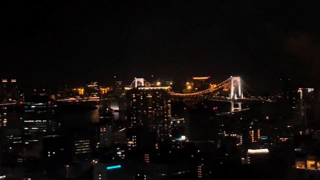 чами в tokyo tower  влог япония