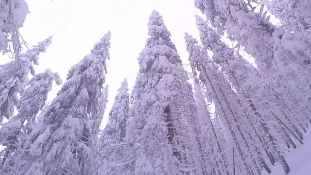Поход на Новый Год (с.Мысливка - г. Яйко Илемское - с. Осмолода)