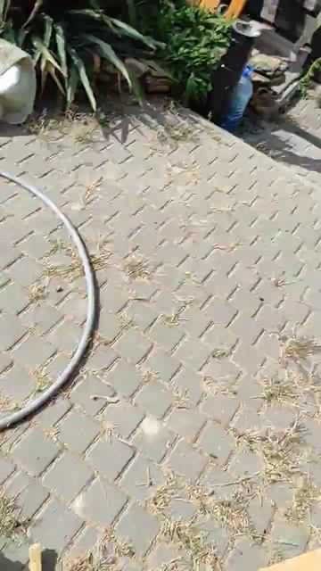 Покраска стен сруба Выполним Одесса Украина 0963546656 смотреть онлайн