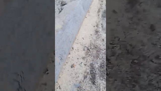 сруб дома 9на 6, пять стен смотреть онлайн