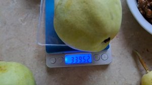 Груша "Лесная красавица". Сочная, нежная. Обзор.