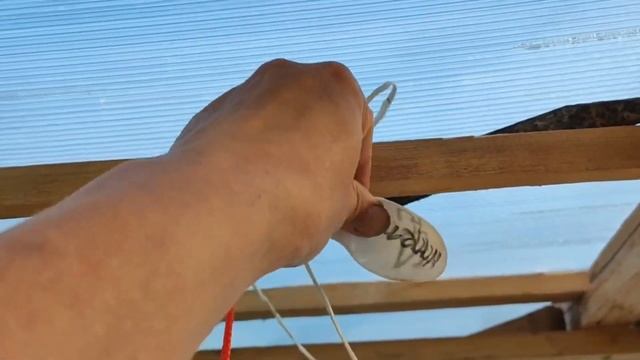 Высадка томатов в открытый грунт продолжение смотреть онлайн