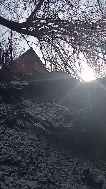 Смешное видео. Соседский курятник. смотреть онлайн