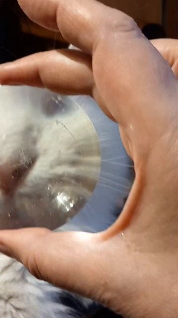 Da vedere grande. Что там под лупой. смотреть онлайн