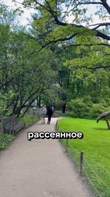 Аптекарский огород — место, которое стоит посетить в ? смотреть онлайн