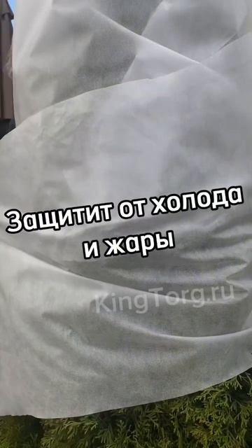 Золотой сад