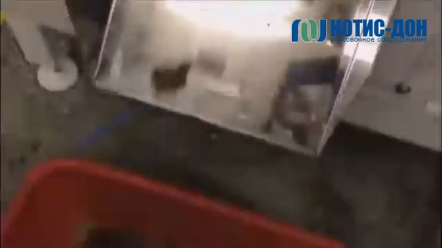 Машина для нарезки хлеба пластинами (гренками) НОТИС-ДОН