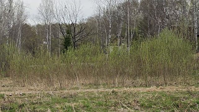 1000055473.mp4 смотреть онлайн