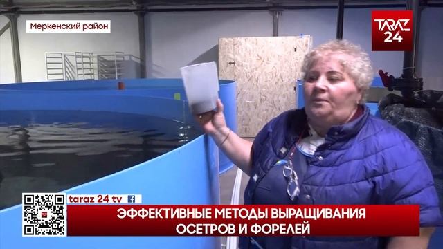 ЭФФЕКТИВНЫЕ МЕТОДЫ ВЫРАЩИВАНИЯ ОСЕТРОВ И ФОРЛЕЙ смотреть онлайн
